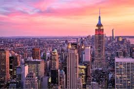 The Global Gold Standard: Mastering the High-Reward, High-Tech Career Path in the USA
